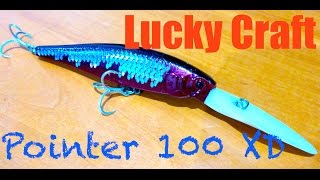 Lucky Craft Pointer 100 XD Review + Underwater Footage