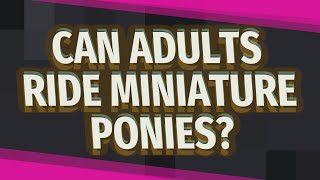 Can adults ride miniature ponies?