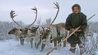 Кочевники Севера.