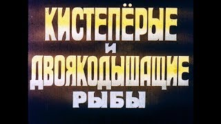 Кистепёрые и двоякодышащие рыбы