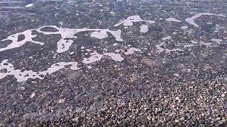 Шум моря. Релакс. Красота.