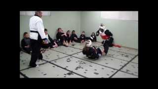 Martial Arts Training and Instruction - Girl blocks Flying Kick perfectly.