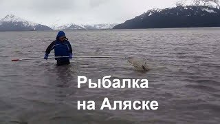 Первая рыбалка на Аляске. США. Анкоридж.
