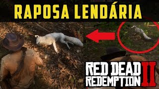 RED DEAD REDEMPTION 2 | RAPOSA LENDÁRIA (LOCALIZAÇÃO E CAÇA) | ANIMAIS LENDÁRIOS, RDR2 PT-BR