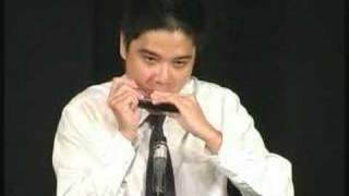 Harmonica - Flight of the Bumblebee