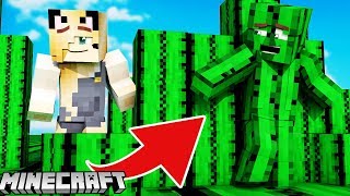 KAKTUS TROLL - ZABAWA W CHOWANEGO W MINECRAFT (Hide and Seek) | Vito vs Bella