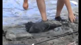 Кубок по спортивной ловле карпа Штефан Водэ 2012