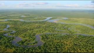Green Season at Mfuwe Lodge, South Luangwa National Park