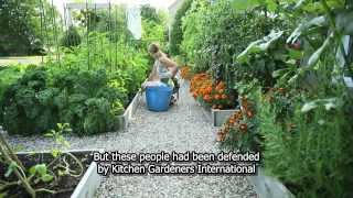 Drummondville's front yard vegetable garden