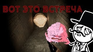SPOOKY CELLAR АНАТОМИЧЕСКОЕ НЕДОРАЗУМЕНИЕ