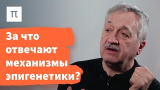 Механизмы эпигенетического наследования — Сергей Киселев 