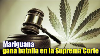 Aprueban uso recreativo de marihuana