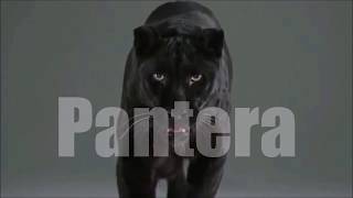 Подборка Приколов HD (+18)