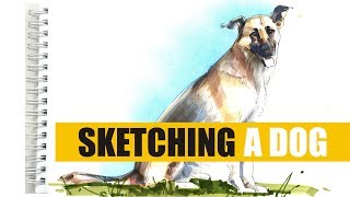 КАК РИСОВАТЬ ЖИВОТНЫХ СОБАКА how to draw a dog