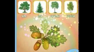 Развивающий мультфильм  для детей. Листья деревьев. Для малышей