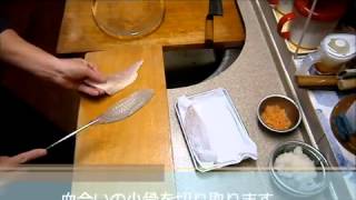 鯛の刺身、三枚おろし Sea Bream Sashimi｜How to Fillet