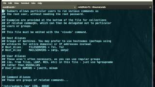 Linux: Add user to sudo using the visudo command