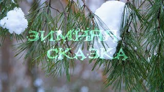 Зимняя сказка | 4к. Домашнее видео. Черкассы