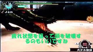MHP3rd　イビルジョー攻略