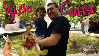 ВСЁ что #НРАВИТСЯ ДЕТЯМ! #веселое видео с АКВАПАРКОМ, ЗООПАРКОМ и КАРУСЕЛЬКАМИ!видео для #ДЕТЕЙ! 1+
