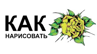 Как нарисовать красивую розу карандашом поэтапно
