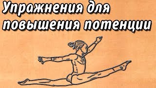 Упражнения для повышения потенции