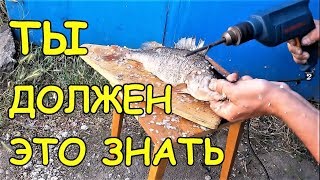 ТОП 10 ЛУЧШИХ ЛАЙФХАКОВ для РЫБАЛКИ