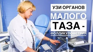 Фолликулометрия