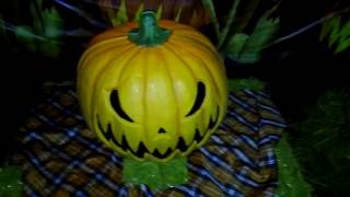 Nightmare House 2016: 5 Years of Fear | Halloween Home Haunt Walkthrough
