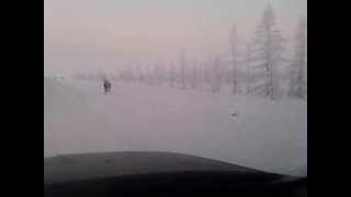 "бешеный олень" зимник Надым-Салехард" 26.02.2014