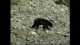 Kanada - Flussabenteuer in British Columbia (WDR "Erlebnisreisen")