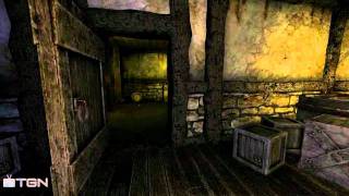 ★ Amnesia - Cat like Reflexis! ft. Flamesberg + TGN