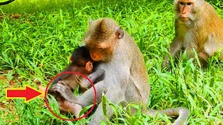Ah! Why Mommy Use Leg Kick Baby While Peter Cute Baby Hungry Sweat Milk!