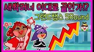 불가능한 도전!! 탈출렙49로 5라운드 그랜드챔스 진출하기 가능한가..??