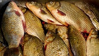 Лучшая насадка для карася, леща, плотвы и другой белой рыбы.