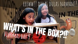WHAT'S IN THE BOX CHALLENGE!! | Ahas?! Jellyfish?! Pupu ba eto?! | Vlogmas day 9 | Aurea & Alexa