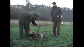 Vanatoare la cerb lopatar in Ungaria