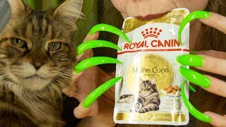 ASMR MUKBANG EATING MOUTH SOUND FOR SLEEP PRANK & FUNNY CAT