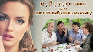 Альфа-, Бета-, Гамма-, Омега- самцы, или «как откалибровать мужчину»