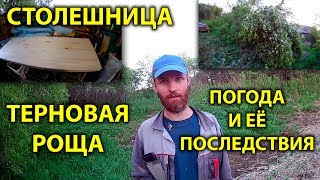 Столешница. Терновая роща. Погода и её последствия. День в деревне