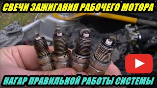 КАКОЙ ДОЛЖЕН БЫТЬ НАГАР СВЕЧЕЙ ЗАЖИГАНИЯ.РАБОЧЕГО ДВИГАТЕЛЯ