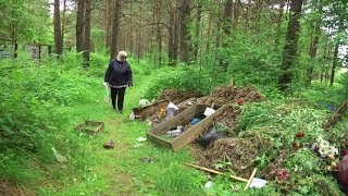 Ужасы на кладбище домашних животных / Новости