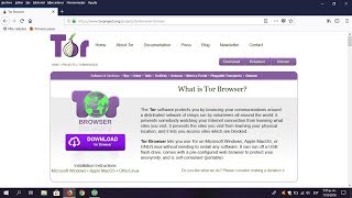 TOR Browser - navegá seguro y en privado (descarga e instalación)