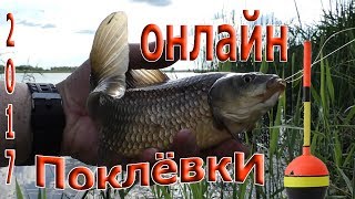 поклёвки карася на поплавок