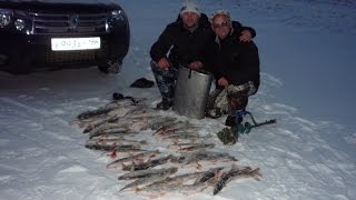 Зимняя рыбалка на щуку на жерлицы.