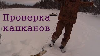 Проверка капканов, разгром!!!