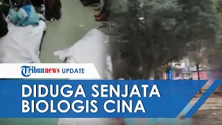 Virus Corona Disebut Senjata Biologis Buatan China, Diduga 'Kabur' dari Lab Penelitian Wuhan