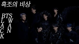 아이돌 트레이너의 블랙스완 리뷰