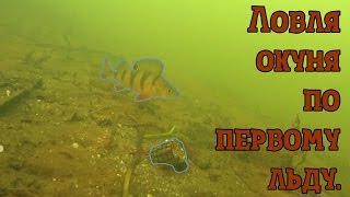 Ловля окуня по первому льду. Подводные съемки.
