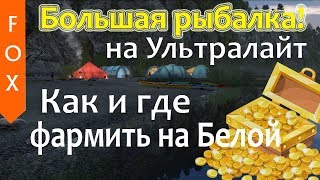 Как фармить на Белой? Русская рыбалка 4, ловим на ультралайт.